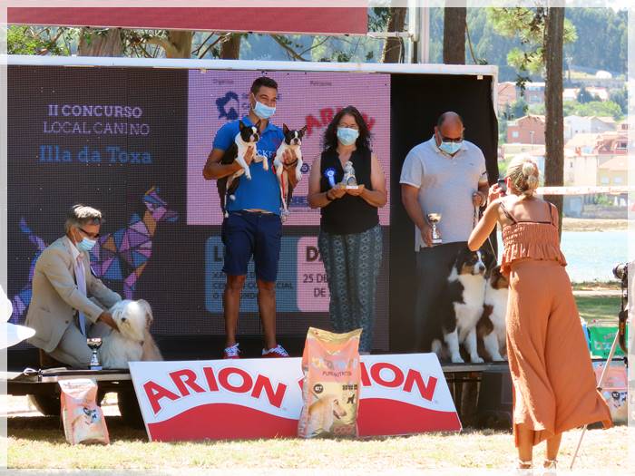 Gaspalleira criadores de mastín del pirineo y jack russell terrier
